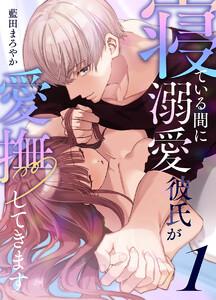 寝ている間に溺愛彼氏が愛撫してきます【分冊版】　1巻