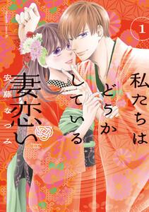 私たちはどうかしている　妻恋い　分冊版　1巻
