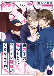 腐男子の俺のもとにツンデレ淫魔がくるなんて!?　1巻