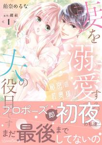 秘密の若奥様　妻を溺愛するのは夫の役目です １