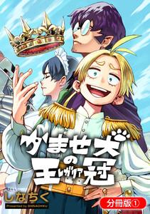 書影