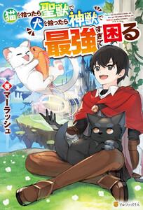 書影