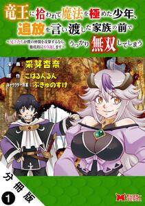 竜王に拾われて魔法を極めた少年、追放を言い渡した家族の前でうっかり無双してしまう～兄上たちが僕の仲間を攻撃するなら、徹底的にやり返します～（コミック） 分冊版 