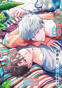 【単話売】簡易的パーバートロマンス LASTシーズン　1巻