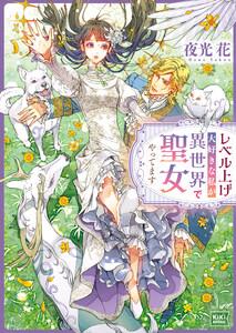 レベル上げ大好きな私が異世界で聖女やってます