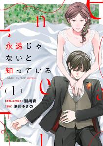 永遠じゃないと知っている　1巻