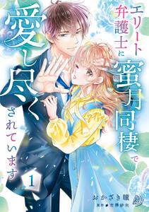 エリート弁護士に蜜月同棲で愛し尽くされています　1