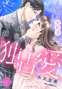 極上御曹司の独占愛～愛され契約妻になりました～【分冊版】1話