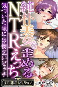 純朴美女を歪めるNTRえっち ～気づいた頃には物乞いビッチ～【CG集コレクション】 モザイク版