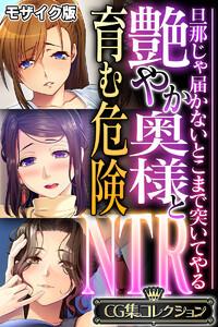 艶やか奥様と育む危険NTR ～旦那じゃ届かないとこまで突いてやる～【CG集コレクション】 モザイク版
