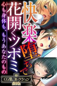 快楽堕ちで花開くツボミ ～心も身体も、もうあなたのもの～【CG集コレクションBIG】