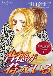 夢見る迷宮 Venus　（1）背徳が待っている