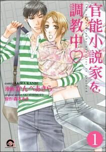 官能小説家を調教中ｖ（分冊版） 【第1話】