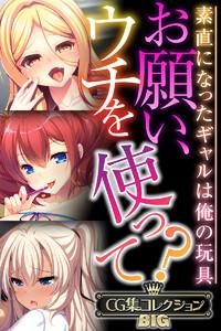 お願い、ウチを使って？～素直になったギャルは俺の玩具～【CG集コレクションBIG】