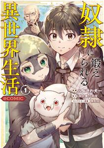 書影