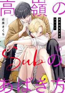 高嶺のSubのあばき方～君の心をとかすコマンド～　1巻