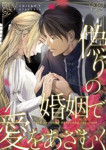 偽りの婚姻で愛をあざむく 1巻
