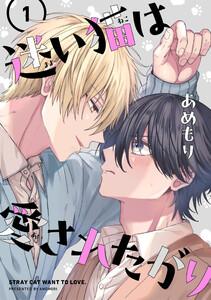 迷い猫は愛されたがり　第1話