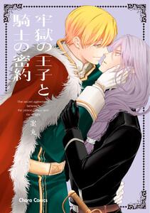 牢獄の王子と騎士の密約【SS付き電子限定版】
