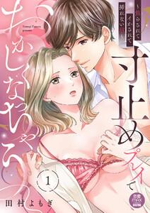 寸止めプレイでおかしくなっちゃう～焦らされてイかされて挿(い)れない沼～【電子単行本】　1巻
