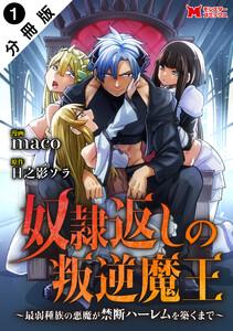 奴隷返しの叛逆魔王 ～最弱種族の悪魔が禁断ハーレムを築くまで～（コミック） 分冊版 ： 1