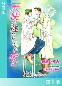 天使が降りてくる夜に【分冊版１】