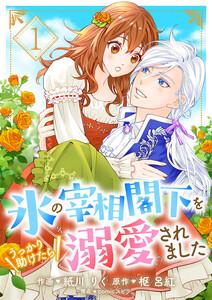 氷の宰相閣下をうっかり助けたら溺愛されました　1巻