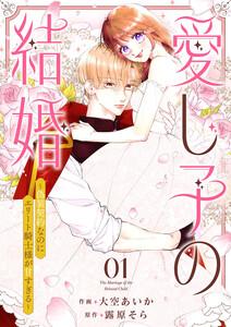 愛し子の結婚～偽装契約なのにエリート騎士様が甘すぎる～　1巻
