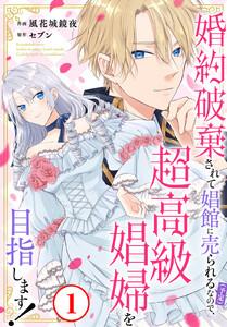 書影