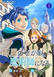 飯屋のせがれ、魔術師になる。1