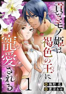 貢ぎモノ姫は褐色の王に寵愛される 1巻