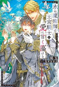 氷の魔術師は王宮騎士の愛に甘く蕩ける