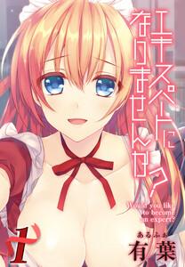 エキスパートになりませんか？1巻