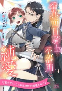 【全1-6セット】不真面目騎士の不器用な純愛【イラスト付】