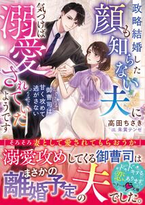 政略結婚した顔も知らない夫に気づけば溺愛されていたようです～御曹司は甘く攻めて逃がさない～【SS付き】