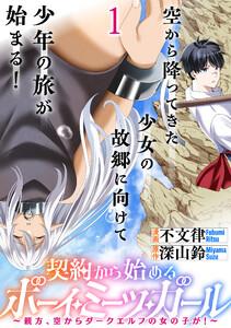 契約から始めるボーイ・ミーツ・ガール～親方、空からダークエルフの女の子が！～ 連載版　第1話