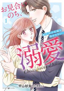 お見合いのち、溺愛～副社長は花嫁を逃がさない～1