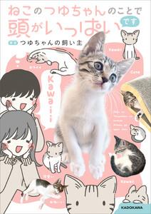 ねこのつゆちゃんのことで頭がいっぱいです