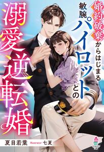 婚約破棄からはじまる敏腕パイロットとの溺愛逆転婚