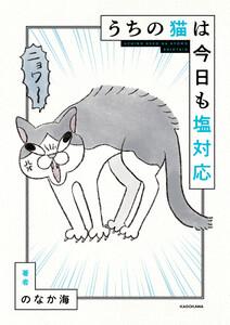 うちの猫は今日も塩対応