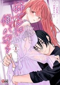 姉さんは俺が守る 1巻