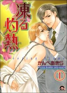 凍る灼熱（分冊版） 【第1話】